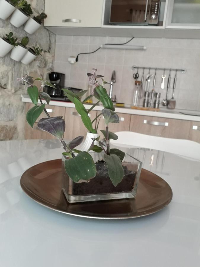 Leut Apartment Κόρτσουλα Εξωτερικό φωτογραφία